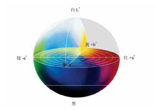 1734510860513689.png image.png