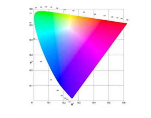 1734511275435216.png image.png