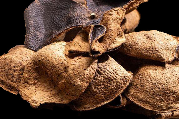 便攜式小口徑分光測色儀用於陳皮顏色檢測